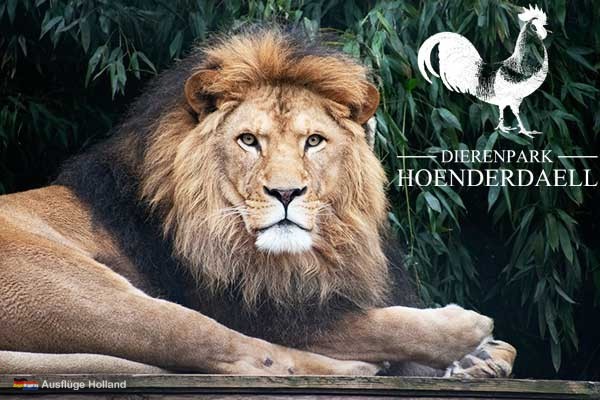 Tierpark Hoenderdaell