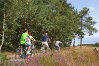 Utrechter Hügelrücken Holland