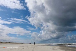 Watteninsel Schiermonnikoog Niederlande