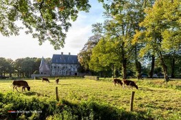 Burg in Holland besuchen
