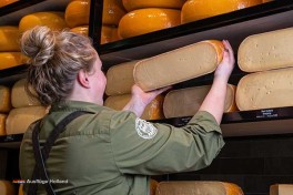 Käserei besuchen in Holland