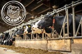 Milchviehhaltung Landgur Kaamps in Holland besuchen