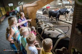 Tagesausflug in Overijssel Holland