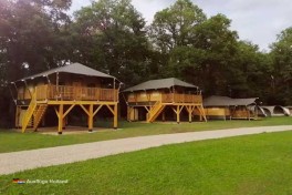 Safari mieten in Holland