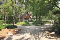 Bei Bosvillapark Eureka in Holland finden Sie unterschiedliche luxuriöse Ferienhäuser