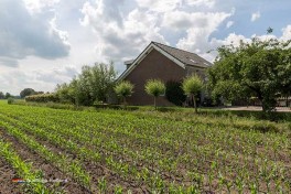 Zimmerfrei im freien in Holland