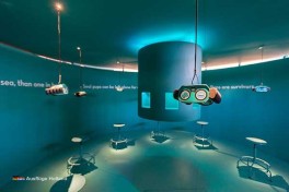 Informativer Tagesausflug in Seehundzentrum Pieterburen Holland