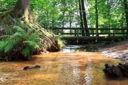 Hotel in Limburg Holland nahe Wald und Natur