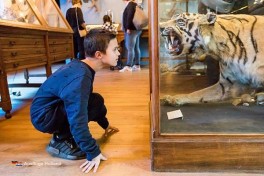 Museum besuchen in Friesland Holland