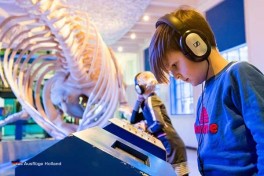 Naturmuseum besuchen in Holland
