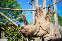 Zoo in Holland
