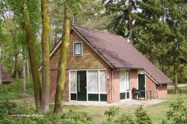 Ferienwohnung mieten im Wald in Holland