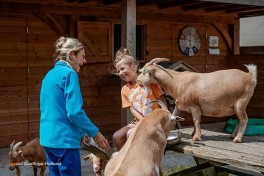 Streichelzoo Camping Geuldal Limburg