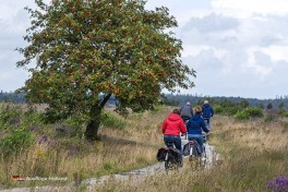 Der Campingplatz liegt mitten in einem der größten Naturgebiete der Niederlande mit vielen Fahrrad- und Wanderwegen