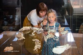 Museum in Holland besuchen mit Kindern