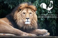 Tierpark Hoenderdaell Holland