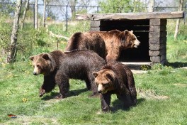 Vielseitiger Tierpark in Holland