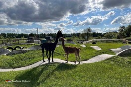 Freiluftspielplatz in Holland