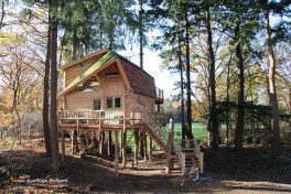 Glaming Treehouse Baumhaus mieten in die Niederlande