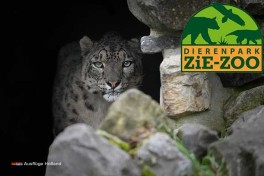 Tierpark Zie-ZOO Volkel Holland