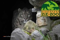 Tierpark Zie-ZOO Volkel Holland