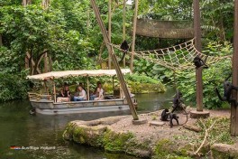 Besonderen Tierpark in Holland besuchen
