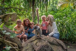 Events und Aktivitäten WILDLANDS Adventure Zoo Holland