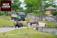 WILDLANDS Adventure Zoo Emmen Holland