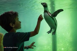 ZOO Holland