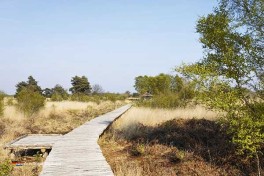 Nationalpark De Groote Peel in Nordbrabant – ein Paradies für Wanderer und Vogelliebhaber