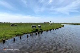 Boot mieten nahe Amsterdam