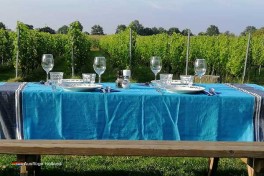 Bei Bed and Breakfast De Wijnstaete steht faires und lokales Essen im Mittelpunkt mit Wein vom eigenen Weinberg