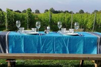 Bei Bed and Breakfast De Wijnstaete steht faires und lokales Essen im Mittelpunkt mit Wein vom eigenen Weinberg