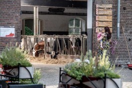 Landhof Hotel Restaurant in Holland