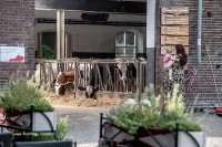 Landhof Hotel Restaurant in Holland