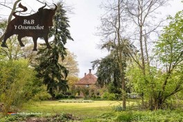 Bed and Breakfast Ossenschot Westerwolde Groningen Holland