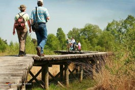 Nationalpark de Groote Peel in Holland