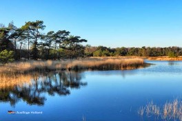Camping in Overijssel Holland