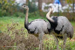 Ausflug in Limburg Holland