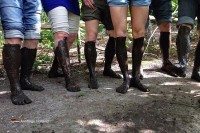 Wanderung Holland Niederlande