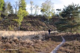 Camping Naturschutzgebiet  Niederlande