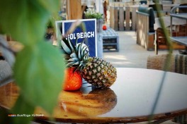 Strandterrasse Solbeach Scheveningen Holland Niederlande