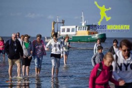 Rundfahrt Wattenmeer Holland Niederlande