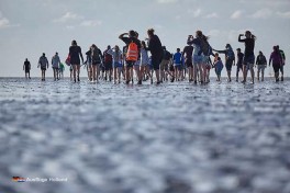 Wattwandern Holland Niederlande