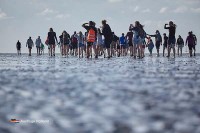 Wattwandern Holland Niederlande