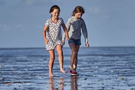 Wattwandern Wattenmeer Holland Niederlande
