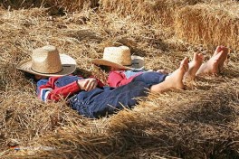 eigenes Pferd mitbringen auf Ferien Urlaub Holland Niederlande