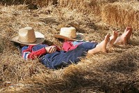 eigenes Pferd mitbringen auf Ferien Urlaub Holland Niederlande