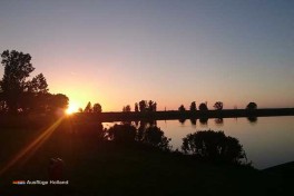 Oostvaardersplassen Holland Niederlande