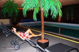 Badehaus mit Schwimmbad und Sauna Hotel Waddenweelde Holland